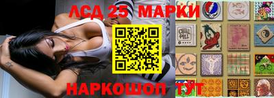 стафф Будённовск