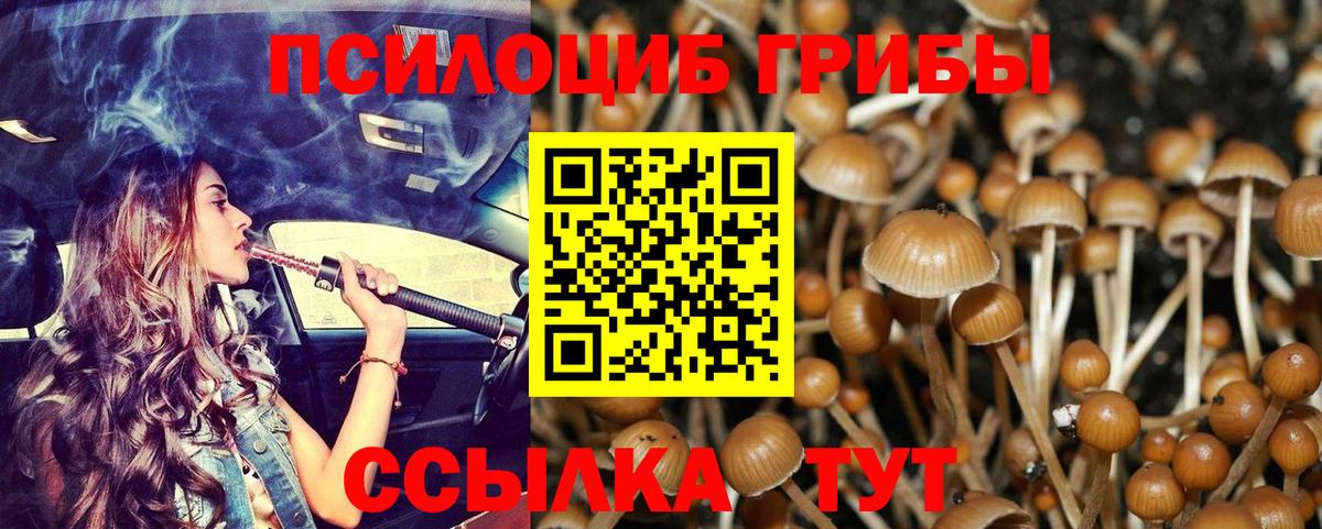 Галлюциногенные грибы прущие грибы Тюмень